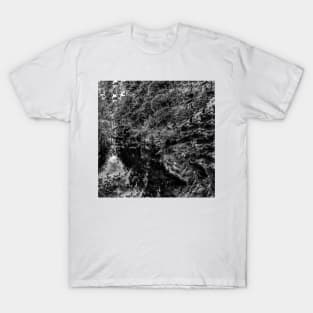 Zilker Botanical Gardens - Austin, Texas - Black and white T-Shirt